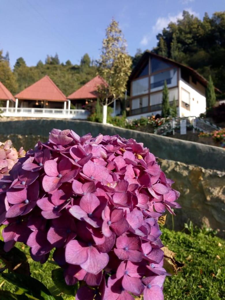 Hotel Cabanas El Rincon De Las Campanas Nobsa Eksteriør billede